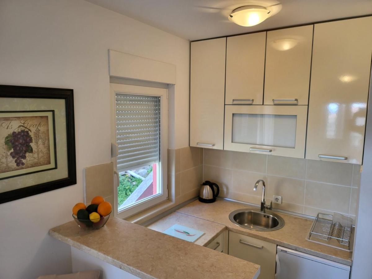 Apartment Rachel Petrovac 객실 사진