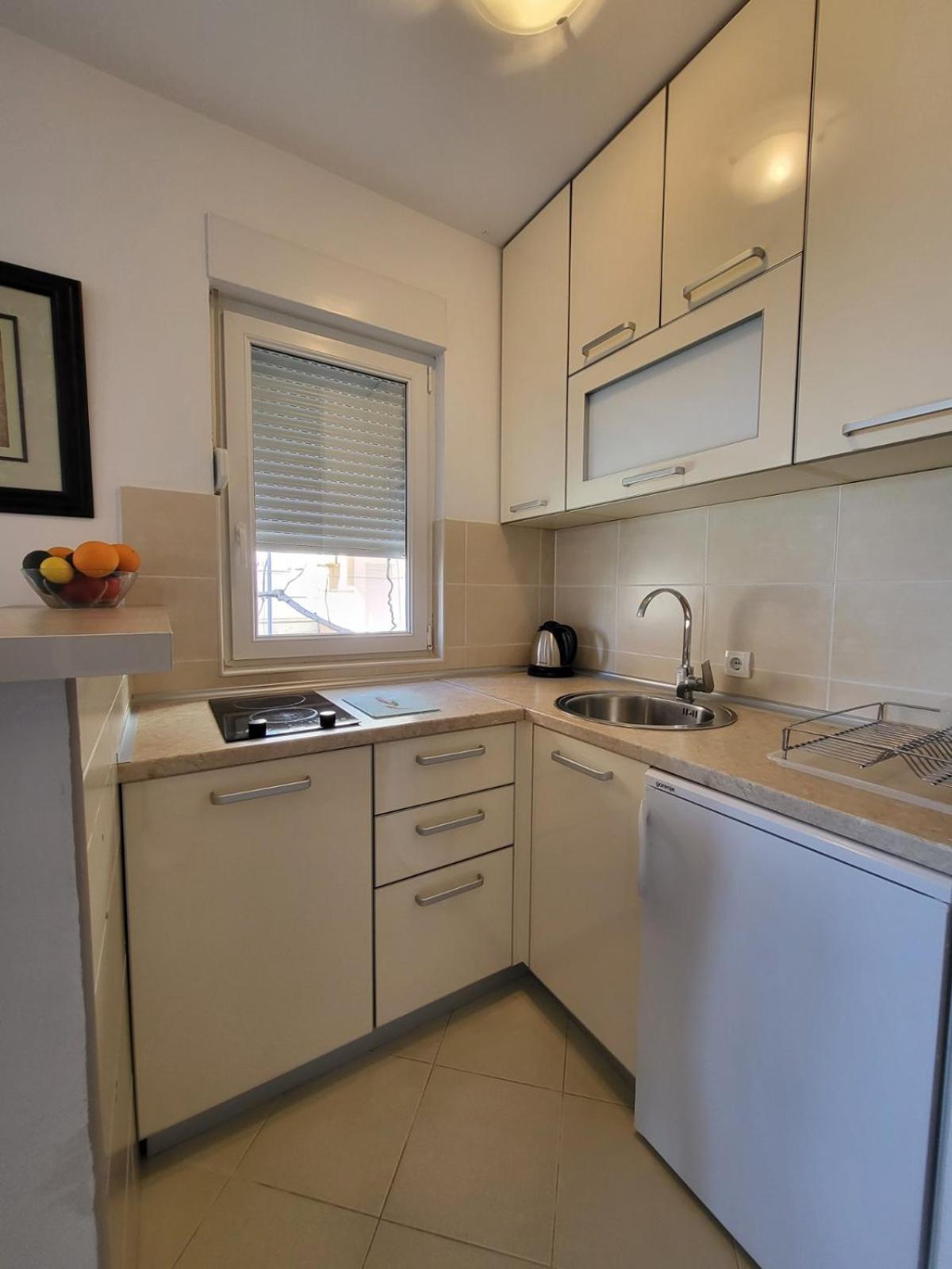 Apartment Rachel Petrovac 객실 사진