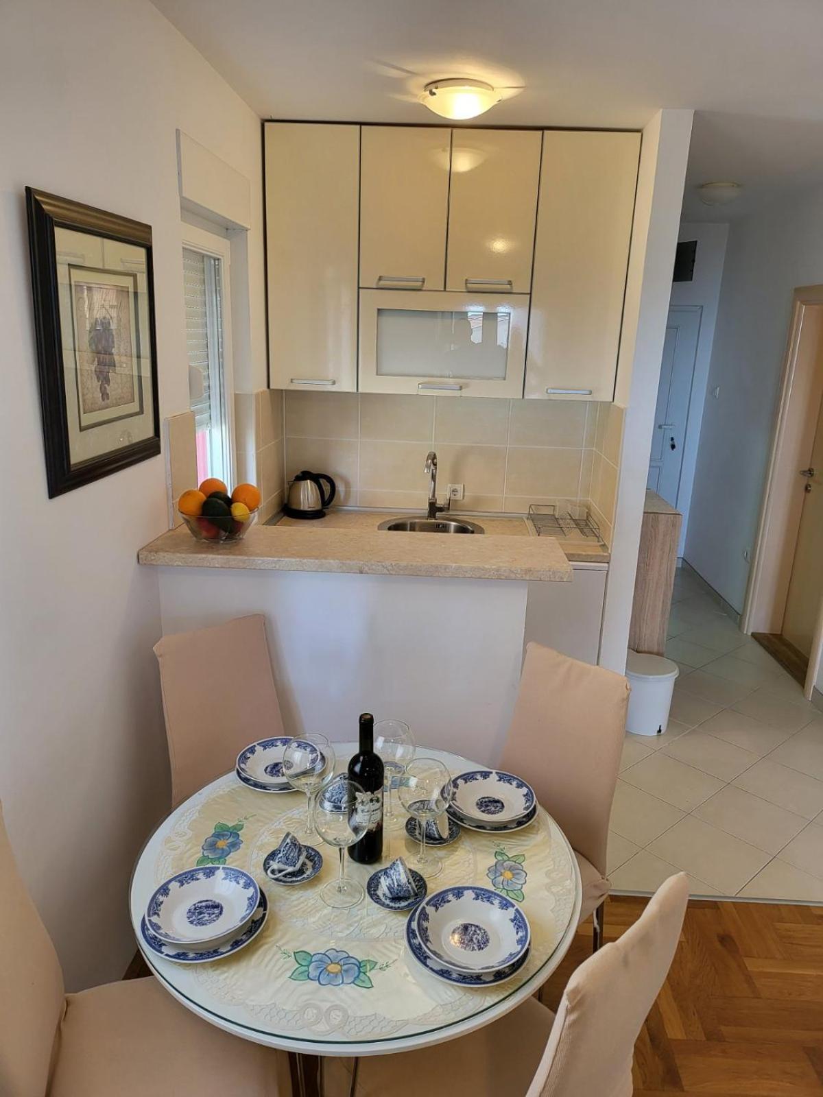 Apartment Rachel Petrovac 객실 사진