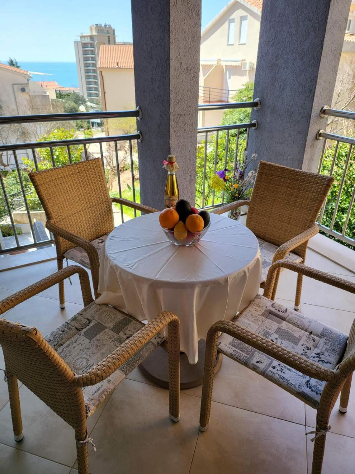 Apartment Rachel Petrovac 객실 사진